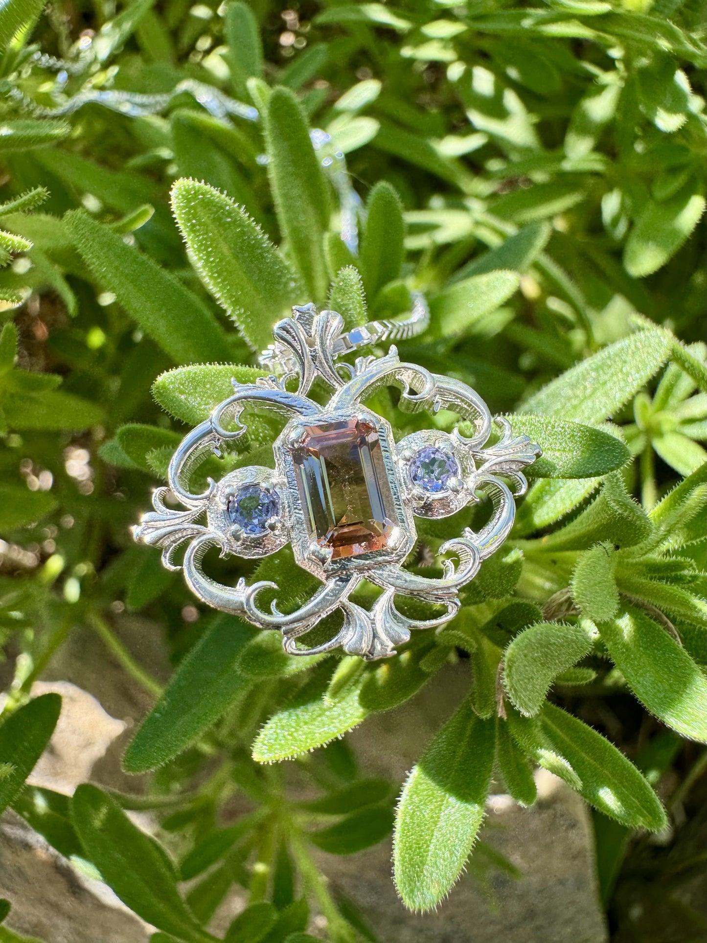 “Pleo Ovoidale I”